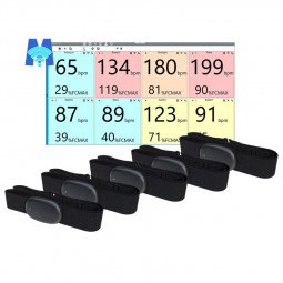 Pack de 5 ceintures à mémoire Mooky HR5