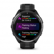 Garmin Forerunner 965 | Mtraining