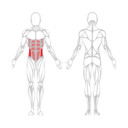 ROTATION DU TORSE - Gamme Evolution | Mtraining