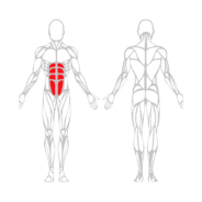 ABDOMINAUX HAUTS - Gamme Evolution | Mtraining