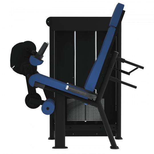 LEG CURL ASSIS - Gamme Evolution | Mtraining