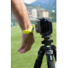 RFID TAG WITTY CELLULE PHOTO | Mtraining