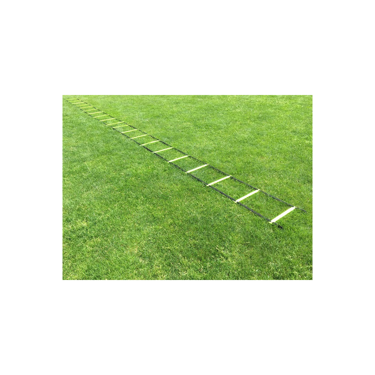 Echelle de rythme 8 m Mtraining | Mtraining
