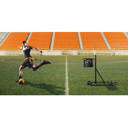 ivo Trainer