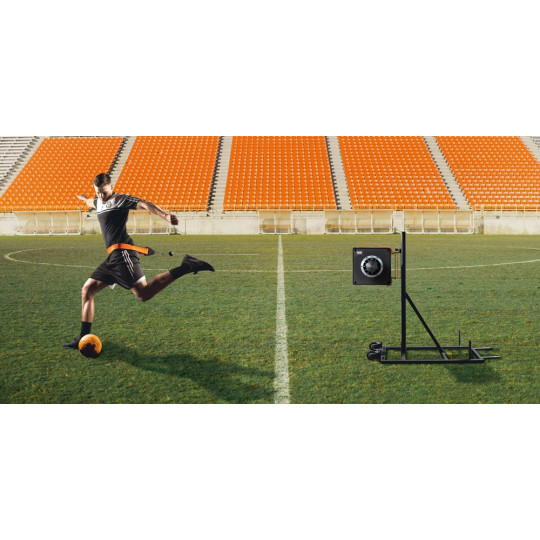 ivo Trainer