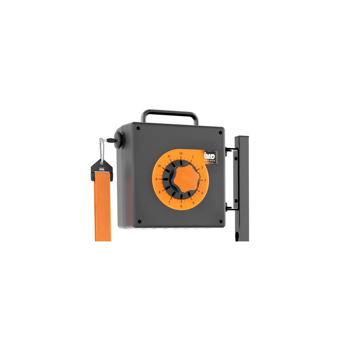 ivo Trainer