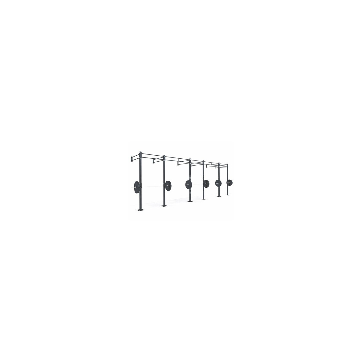 FONCTIONAL STRUCTURE B10