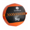 Wall Ball 5 kg