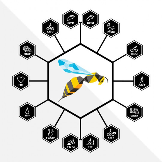Modem Wasp